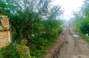 ଏନଏଚ ଠାରୁ ଖାରିଜ ପିରିପୁର ରାସ୍ତା ଶୋଚନୀୟ