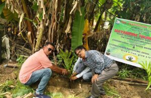 ମାୟା ନିଦ୍ରା ଫାଉଣ୍ଡେସନ ପକ୍ଷରୁ ନିଃଶୁଳ୍କ ସେବା ଶିବିର ଓ ବୃକ୍ଷରୋପଣ କାର୍ଯ୍ୟକ୍ରମ