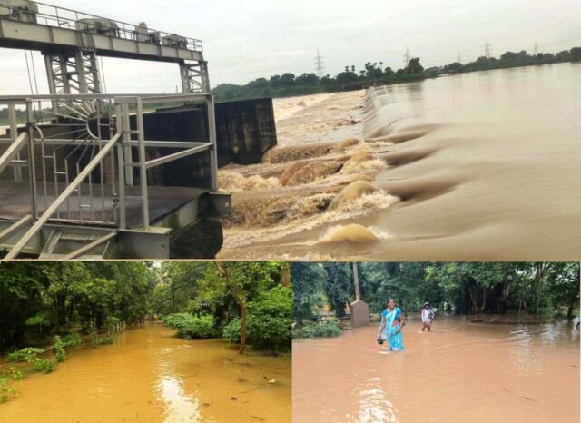 DHAMNAGAR BANYA RE BEHAL-2