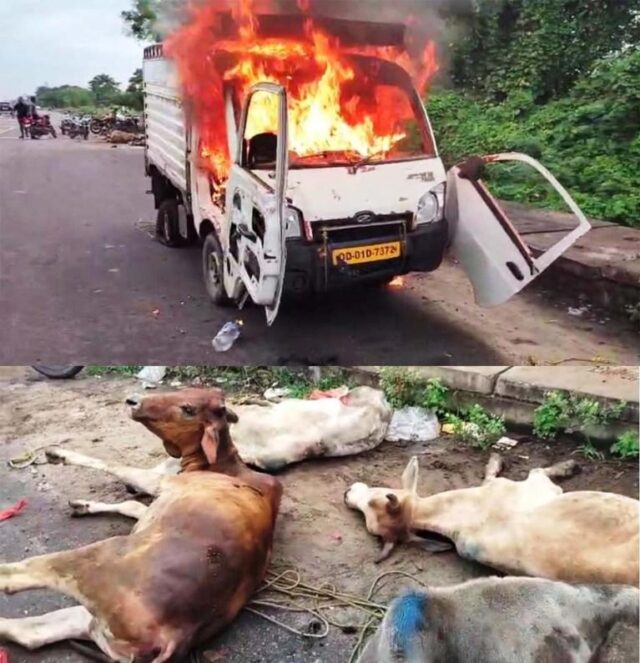 GORU GADI JALIDELE GO RAKHYAK