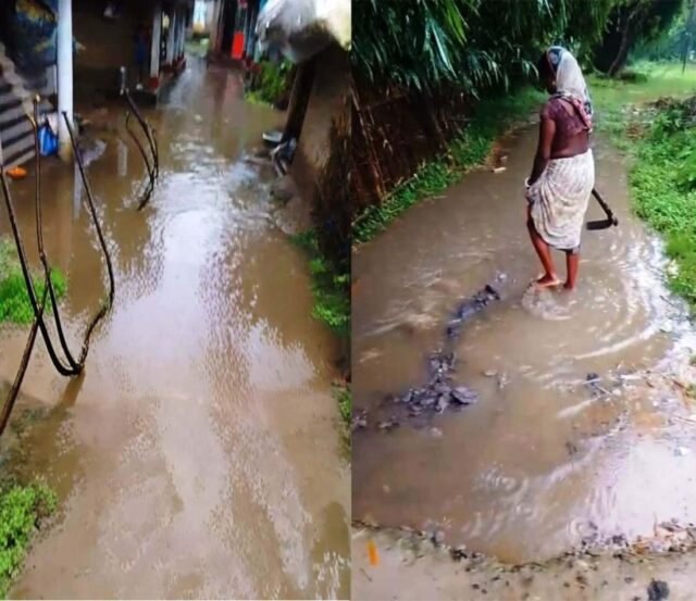 BANITIA 9 NO. RASTA BIPARJYASTA