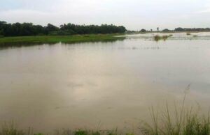 ଉପର ମୁଣ୍ଡରେ ବର୍ଷା ଲାଗି ରହିବାରୁ ବୈତରଣୀ ନଦୀ ବନ୍ୟା ଧାମନଗର ବ୍ଲକର ଦୁଇ ପଂଚାୟତକୁ ବିପଦ