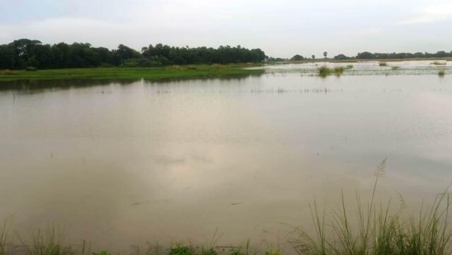 DHAMNAGAR BLOCK TWO PANCHAYAT