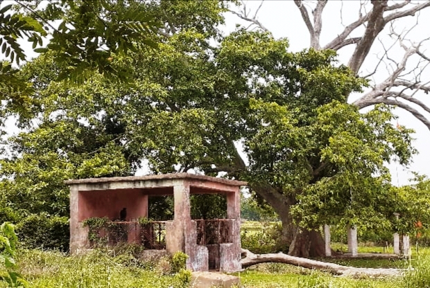 GOHIRATIKIRI KATHA BHULIGALE SARAKAR