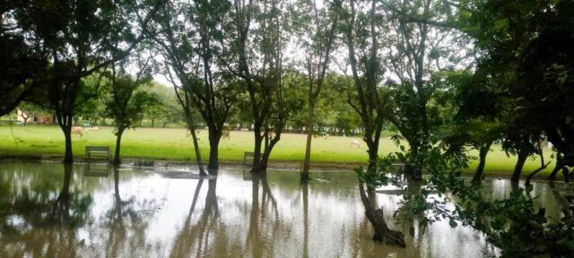 KHELA PADIARU JALA NISKASAN DABI