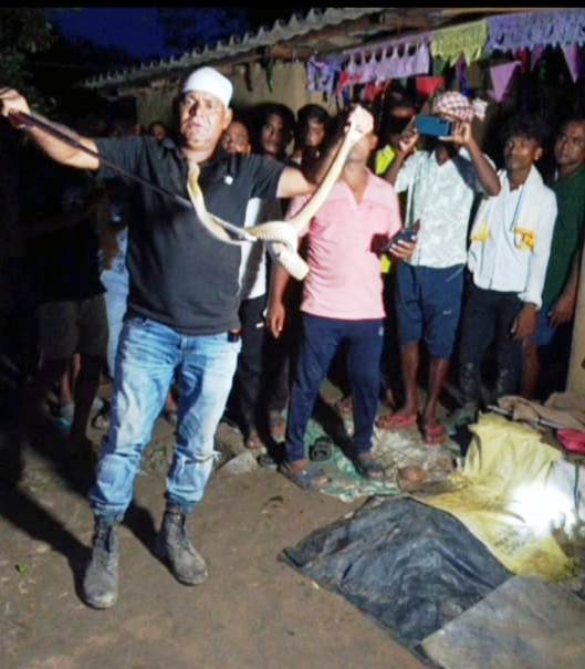 SARPAGHATA RE CHALIGALA NABALIKANKA JIBAN