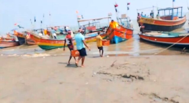 FISH MILL AND FISH RE FARMALIN BIBADA