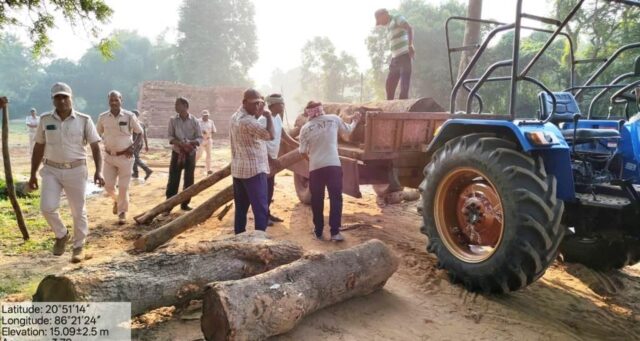 SAW MILL RE BANA BIBHAGA CHADHAU