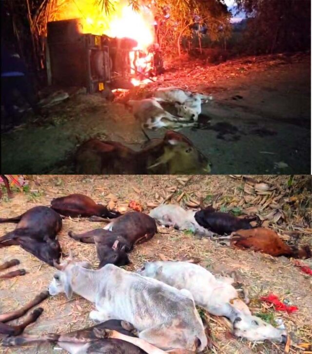 GORU CHALAN, 12 DEAD, 6 RESCUE