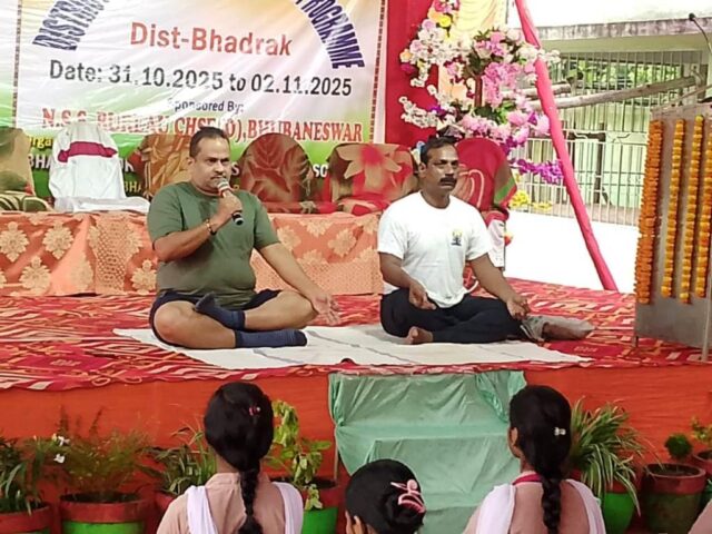 NSS SIBIRARA TRAINER BDO