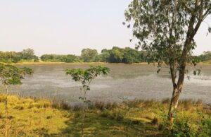 рмРрмдрм┐рм╣рм╛рм╕рм┐рмХ рм╕рнЗрмирм╛рмкрмдрм┐рмЖ рмкрнЛрмЦрм░рм┐ рмЬрммрм░рмжрмЦрм▓рморнБрмХрнНрмд рмУ рм╕рм░рмХрм╛рм░рнА рмЦрм╛рмдрм╛рмХрнБ рмлрнЗрм░рм┐рм▓рм╛ рмкрм░рнЗрммрм┐ рмПрммрнЗ рмкрнБрмгрм┐ рмЬрммрм░рмжрмЦрм▓, рмкрнНрм░рм╢рм╛рм╕рми рмжрнГрм╖рнНрмЯрм┐ рмжрнЗрммрм╛рмХрнБ рмжрм╛рммрм┐