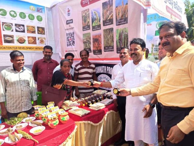 ZILLASTARIYA MANDIA DIVAS