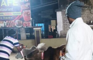 ଭଦ୍ରକ ବିଧାୟକଙ୍କ ଅଭିନ୍ୱ ପ୍ରୟାସ, ଗୋ ମାତାଙ୍କ ଦୁର୍ଘଟଣାର ସୁରକ୍ଷା ପାଇଁ ୫୦ ଟି ଗଳା ପଟି ବାନ୍ଧିଲେ