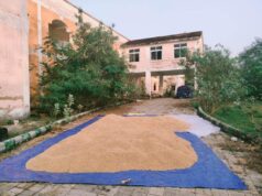 ଆରଡିପୀଠରେ ନବନିର୍ମିତ ପାନ୍ଥନିବାସ ପାଲଟିଛି ଧାନ ଗୋଦାମ, ପର୍ଯ୍ୟଟନ ଋତୁରେ ଆଶ୍ରୟ ମିଳୁନି ପର୍ଯ୍ୟଟକଙ୍କୁ