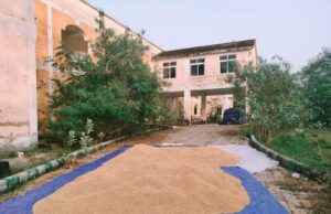 ଆରଡିପୀଠରେ ନବନିର୍ମିତ ପାନ୍ଥନିବାସ ପାଲଟିଛି ଧାନ ଗୋଦାମ, ପର୍ଯ୍ୟଟନ ଋତୁରେ ଆଶ୍ରୟ ମିଳୁନି ପର୍ଯ୍ୟଟକଙ୍କୁ