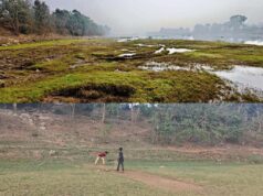 ବୈତରଣୀ ନଦୀ ଏବେ ମରୁଭୂମି, ନଦୀ ଶଯ୍ୟାରେ ଚାଲିଛି କ୍ରିକେଟ ଖେଳ, ବାଲି ମାଫିଆଙ୍କ ପାଇଁ କାନ୍ଦୁଛି ବୈତରଣୀ, ପାଲଟିଛି ଗୋରୁ ଗାଈଙ୍କ ଚାରଣ ଭୂମି