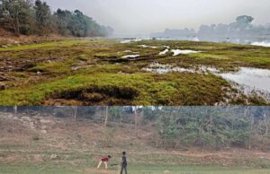 рммрнИрмдрм░рмгрнА рмирмжрнА рмПрммрнЗ рморм░рнБрмнрнВрморм┐, рмирмжрнА рм╢рмпрнНрнЯрм╛рм░рнЗ рмЪрм╛рм▓рм┐рмЫрм┐ рмХрнНрм░рм┐рмХрнЗрмЯ рмЦрнЗрм│, рммрм╛рм▓рм┐ рморм╛рмлрм┐рмЖрмЩрнНрмХ рмкрм╛рмЗрмБ рмХрм╛рмирнНрмжрнБрмЫрм┐ рммрнИрмдрм░рмгрнА, рмкрм╛рм▓рмЯрм┐рмЫрм┐ рмЧрнЛрм░рнБ рмЧрм╛рмИрмЩрнНрмХ рмЪрм╛рм░рмг рмнрнВрморм┐