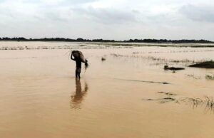 ବନ୍ୟା ଛାଡିବାର ୫ମାସ ବିତିଲା, କ୍ଷତିଗ୍ରସ୍ତ ଚାଷୀଙ୍କୁ ମିଳିଲାନି କ୍ଷତିପୂରଣ