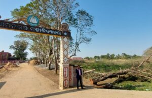 ଗଛ କଟାରେ ଶ୍ରୀହୀନ ଧାମନଗର ମହାବିଦ୍ୟାଳୟ