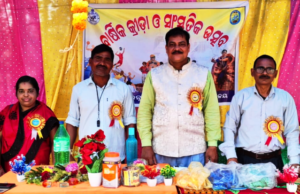 ମନ୍ତ୍ରବାସୁଳୀ ଉନ୍ନୀତ ଏମ ଇ ସ୍କୁଲର ବାର୍ଷିକ କ୍ରୀଡା ଉତ୍ସବ