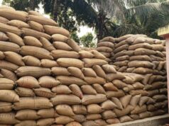 ଧାମନଗରରେ ଖରିଫ ଧାନ କିଣାରେ ଅବ୍ୟବସ୍ଥା, ମଣ୍ଡିରେ ପଡ଼ିଛି ୩୮ ହଜାର କ୍ୱିଂଟାଲ ଧାନ, କଟନି ଛଟନିରେ ଚାଷୀ ବେହାଲ