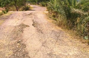 ଧାମନଗରରେ ବିଭିନ୍ନ ରାସ୍ତା ଏବେ ମରଣଯନ୍ତା ସାଜିଛି, ବିଭାଗୀୟ ଅଧିକାରୀଙ୍କ ଅବହେଳା