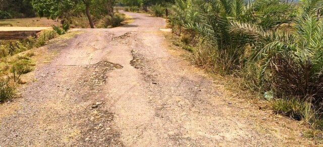 DHAMNAGAR RA RASTA MARANA JANTA