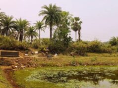 ପୋଖରୀ କୂଳରେ ବୋରିଂ: ଜଳ ସଂରକ୍ଷଣ ନା ଅପଚୟ, ଖଡ଼ିପଦା ପଂଚାୟତରୁ ଆସିଲା ଚିନ୍ତାଜନକ ଚିତ୍ର, ବିନା ସୂଚନା ଫଳକରେ ଚାଲିଛି କାମ