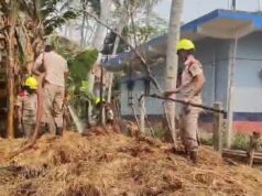 କୁଆମରା ଠାରେ ପାଳଗଦାରେ ନିଆଁ, ୨ଏକର ଜମିର ନଡା ସଂପୂର୍ଣ ନଷ୍ଟ