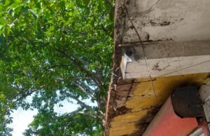 ବିପଦ ସଙ୍କୁଳ ମାର୍କେଟ କମ୍ପେ୍ଲକ୍ସ ହଟାଇବା ଦାବୀ