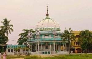 ଧାମନଗର ପ୍ରସିଦ୍ଧ ପିରବାବା ଆସ୍ତାନ ସ୍ଥଳ ବିବାଦର ଅନ୍ତ, ଥାନାରେ ବସିଲା ଶାନ୍ତି କମିଟି, ହେଲା ସମାଧାନ