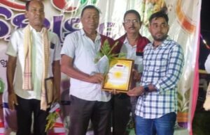 ଦୋଳପଦୀ ରଜ ମହୋତ୍ସବ