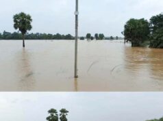 ବୈତରଣୀ ପ୍ରଥମ ବନ୍ୟାରେ ବୋଡକ ଠାରେ ଦବିଲା କୁଆଖିଆ -ଆଖଣ୍ଡଳମଣି ଜାତୀୟ ରାଜପଥ, ବିଛିନ୍ନ ହେବା ଆଶଙ୍କା!, ଏକର ଏକର ଚାଷଜମିରେ ଲହଡ଼ି ଭାଙ୍ଗୁଛି ବନ୍ୟାପାଣି