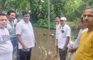 ଲଗାଣ ବର୍ଷାରେ ଚାରିଘରିଆ ଗାଁ ରାସ୍ତାରେ ପାଣି
