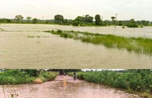 ଧାମନଗରରେ ଲଘୁ ଚାପ ବର୍ଷା ଆଣିଲା ବିପଦ,ନଦୀ ଫୁଲିବା ସହ ବେହାଲ ଯୋଗାଯୋଗ, ଚାଷୀକୂଳ ଚିନ୍ତାରେ, ଧାମନଗର-ଫଳପୁର ରାସ୍ତା ପାଣି