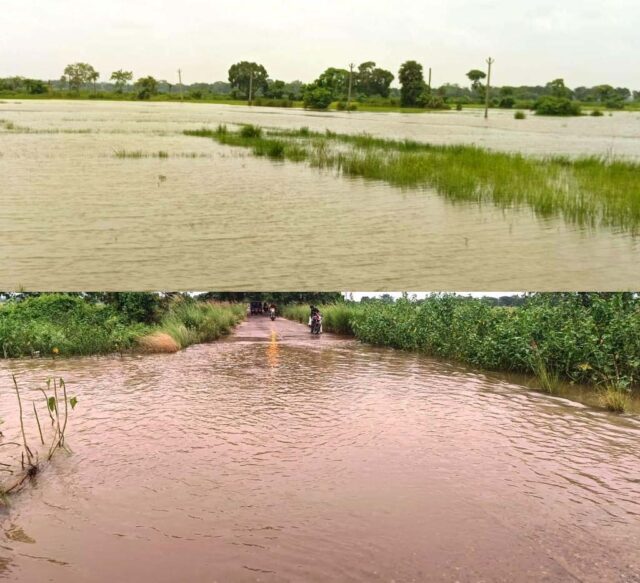 DHAMNAGAR RE LAGHUCHAP BARSA