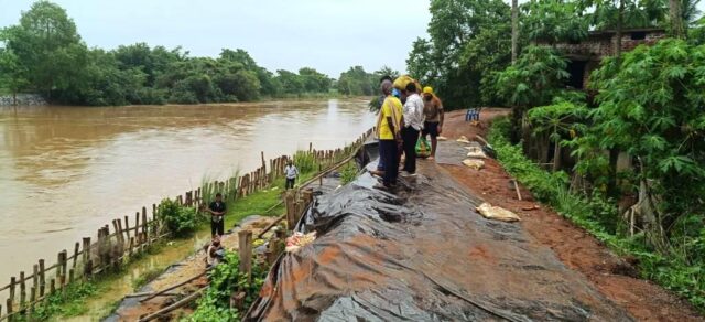 KOCHILA NADIRE DURBALA NADIBANDHA