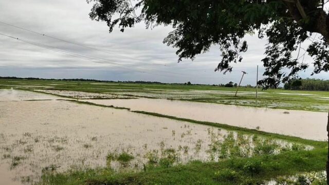 LAGHUCHAP BARSA RE DHANATALI BUDILA