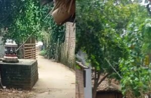ରାସ୍ତା ଜବରଦଖଲ ଅଭିଯୋଗ: ୧୫ ପରିବାର ଯାତାୟାତରୁ ବଂଚିତ