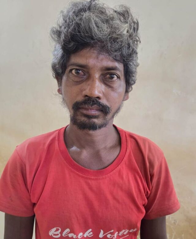 VANIJI NKU BALATKAR KARI MAMU GIRAF