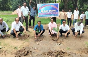 ବୃକ୍ଷ ଦିବସ ଅବସରରେ ଦାମୋଦର ସଂସ୍କୃତ କଲେଜ ପକ୍ଷରୁ ବ୍ୟାପକ ବୃକ୍ଷରୋପଣ କାର୍ଯ୍ୟକ୍ରମ