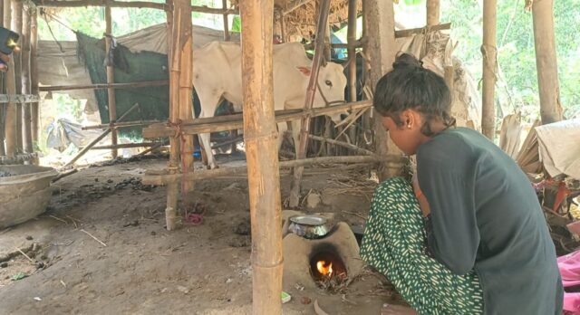 BANYA BIBHICIKA BHITARE BALIPADILA