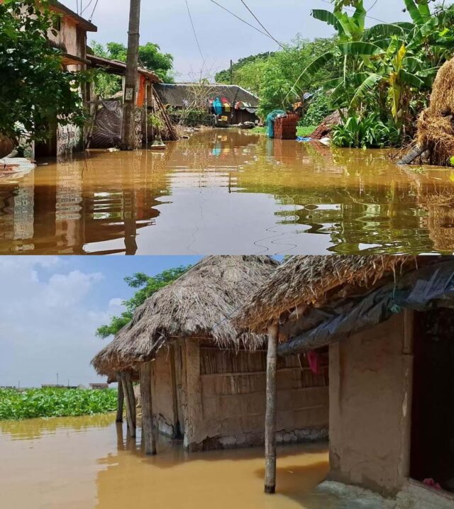 BANYA PANI JANABASATI MUHANA
