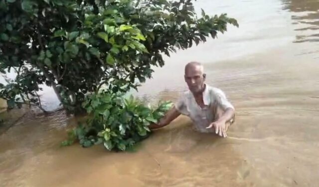 BANYAPANI SROTARE BHASIGALE BRUDHA
