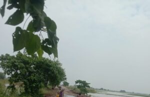 କାଁପଡ଼ା -ଈଶ୍ୱରପୁର ରାସ୍ତା ବିପଦ ସଂକୁଳ,ବନ୍ୟା ସ୍ରୋତରେ ରାସ୍ତା ଧୋଉଗଲା,ତିହିଡି ବ୍ଲକ ଦେଇ ବାବା ଆଖଣ୍ଡଳମଣି ଦର୍ଶନ ଅସମ୍ଭବ, ତୁରନ୍ତ ମରାମତି ଦାବି କଲେ ପୂର୍ବତନ ମନ୍ତ୍ରୀ ନେତ୍ରାନନ୍ଦ,ଅନୁଧ୍ୟାନ କଲେ ଆର. ଡ଼ି ଏସଡ଼ିଓ