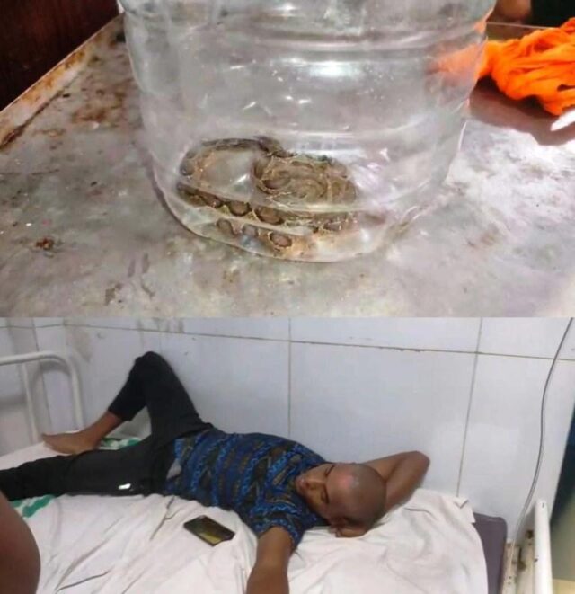 SAPA KAMUDA JUBAK GURUTARA