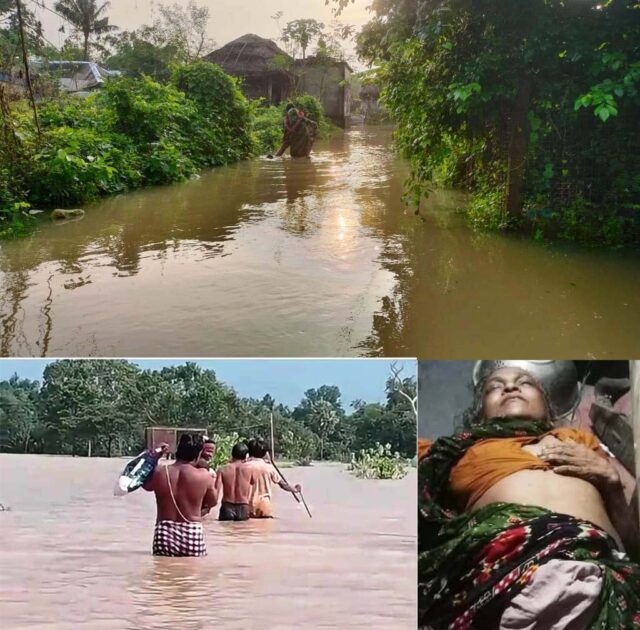 BIROLI SAPA KAMUDA MRUTA