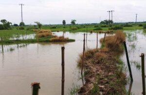ବନ୍ୟା କ୍ଷତିଗ୍ରସ୍ତ ଆର୍ôଥକ ସହାୟତା ପାଇଁ ଚାଷୀଙ୍କଠୁ ଆବେଦନ ଗ୍ରହଣ,ଧାମନଗର ବ୍ଲକର ବାଦ ପଡ଼ିଲା ୫ ଟି ପଂଚାୟତ