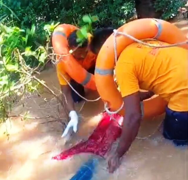 DHAMNAGAR DEAD BODY RESCUE