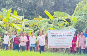 ବିଞ୍ଝାରେ କୃଷକ କ୍ଷେତ୍ରୀୟ ବିଦ୍ୟାଳୟ